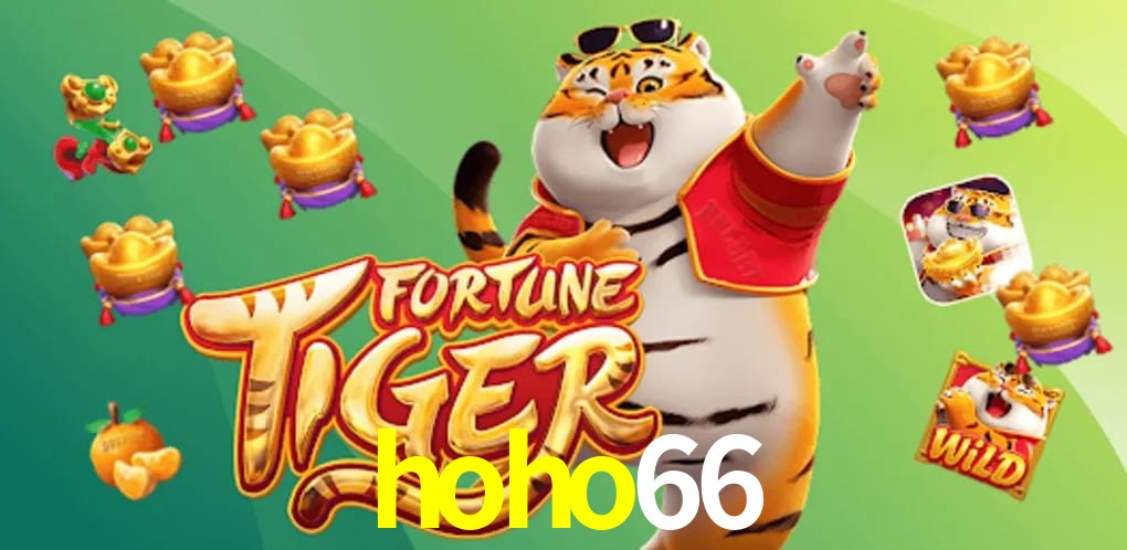 Crash Games Statistics hoho66