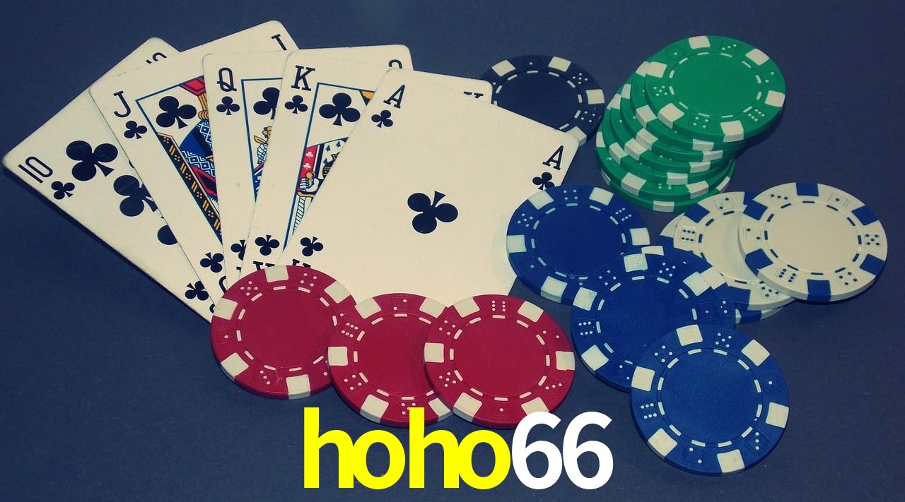 Football Betting hoho66
