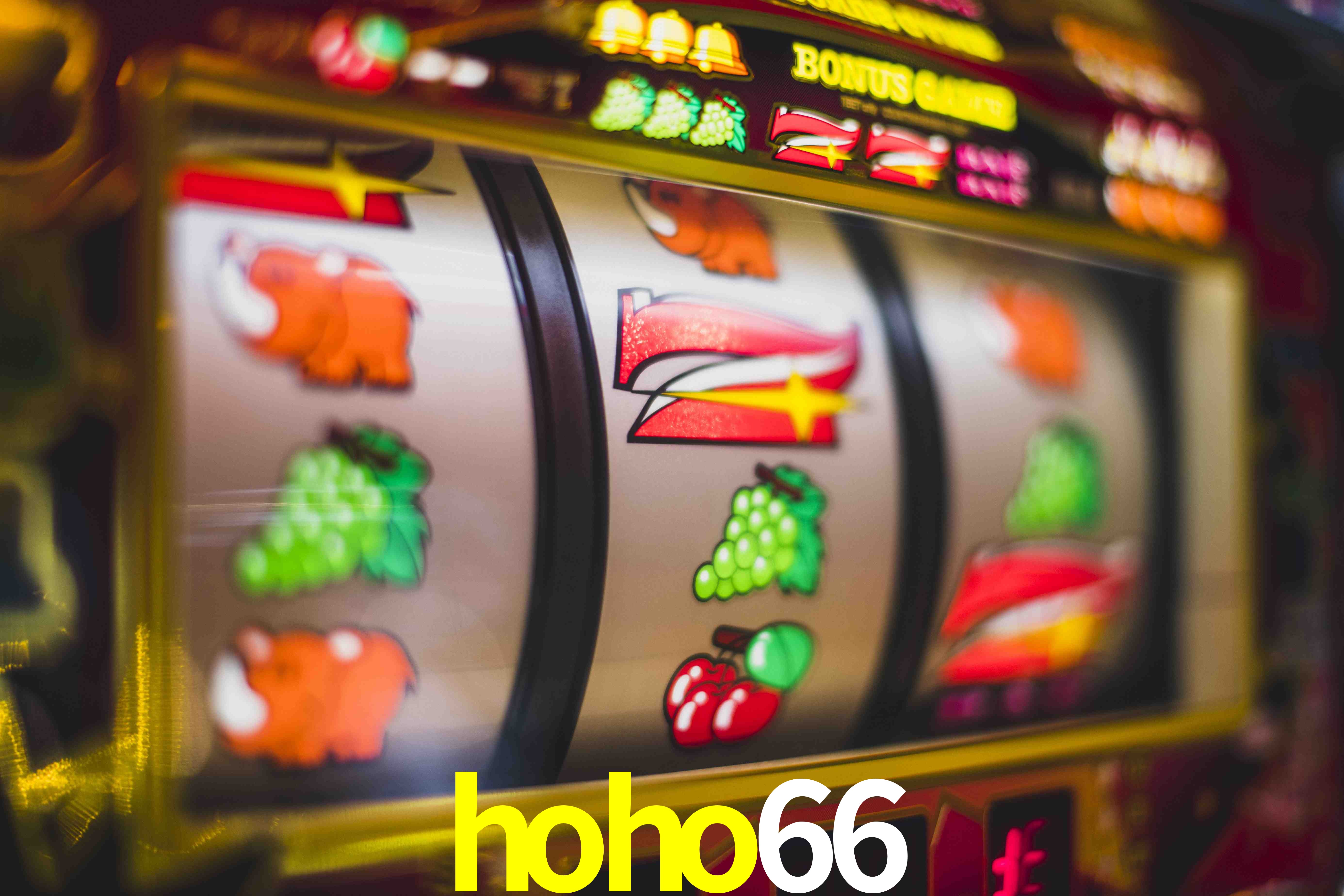 Roulette Table hoho66